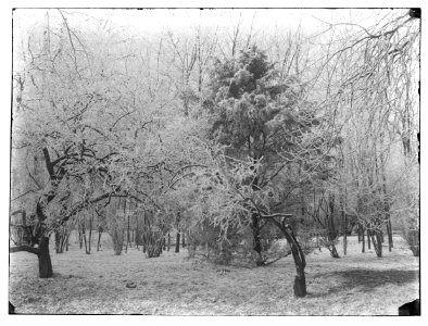 Middenweg 72, foto 21 Jacob Olie (max res)