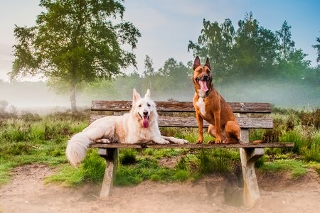 Nice rural area landscape