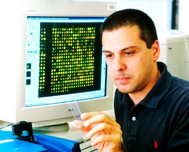 Microarray photo