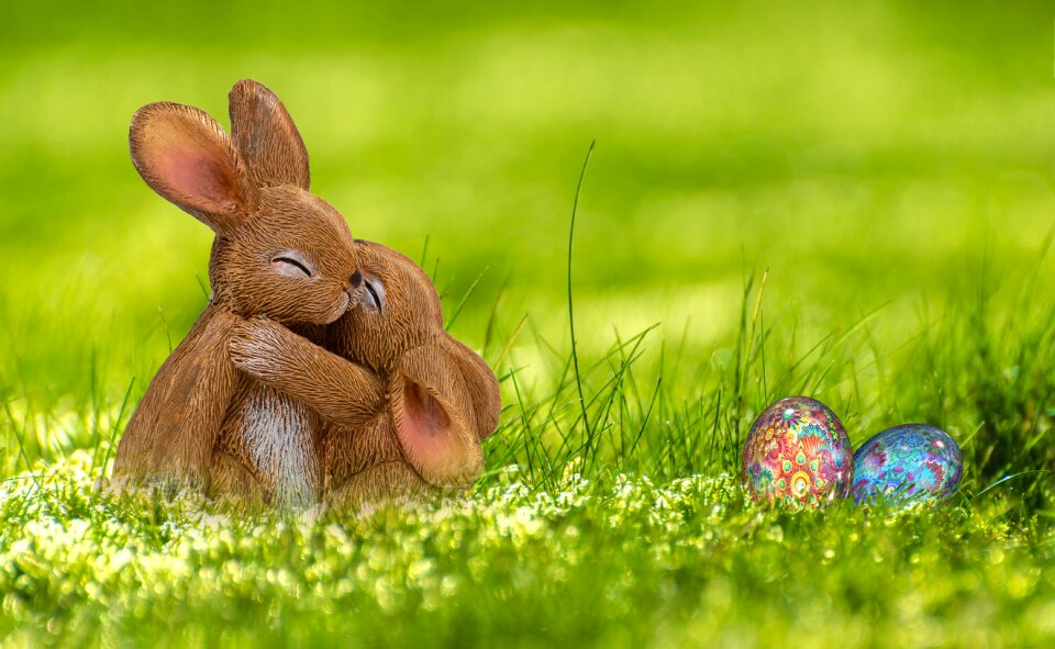 Hare spring greeting card