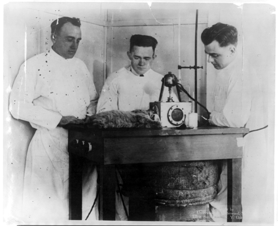 New ether - a great medical discovery. ... Dr. J.H. Cotton, the inventor, is seen experimenting with the ether in a Boston hospital (on cat; with 2 other men) 1920 LCCN2003666661