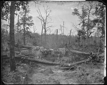 New Hope Battlefield, Ga., 1864 - NARA - 524956