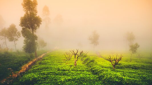 Green travel asia