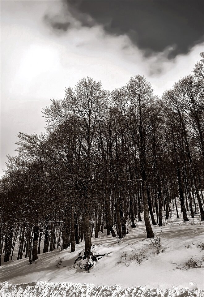 Snow winter italy