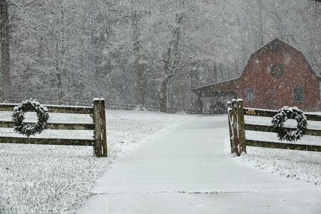 Barn holiday christmas