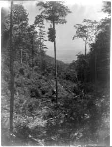New York Catskill Mountains- Sleepy Hollow LCCN2016650372