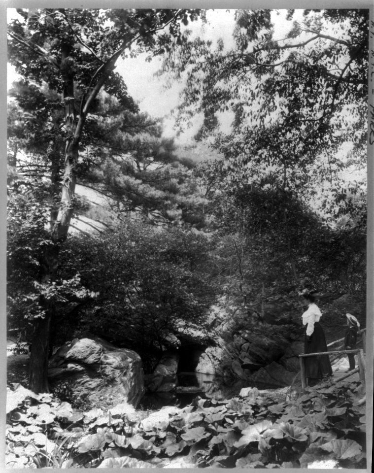 New York City - Central Park- The Ramble LCCN2003674962
