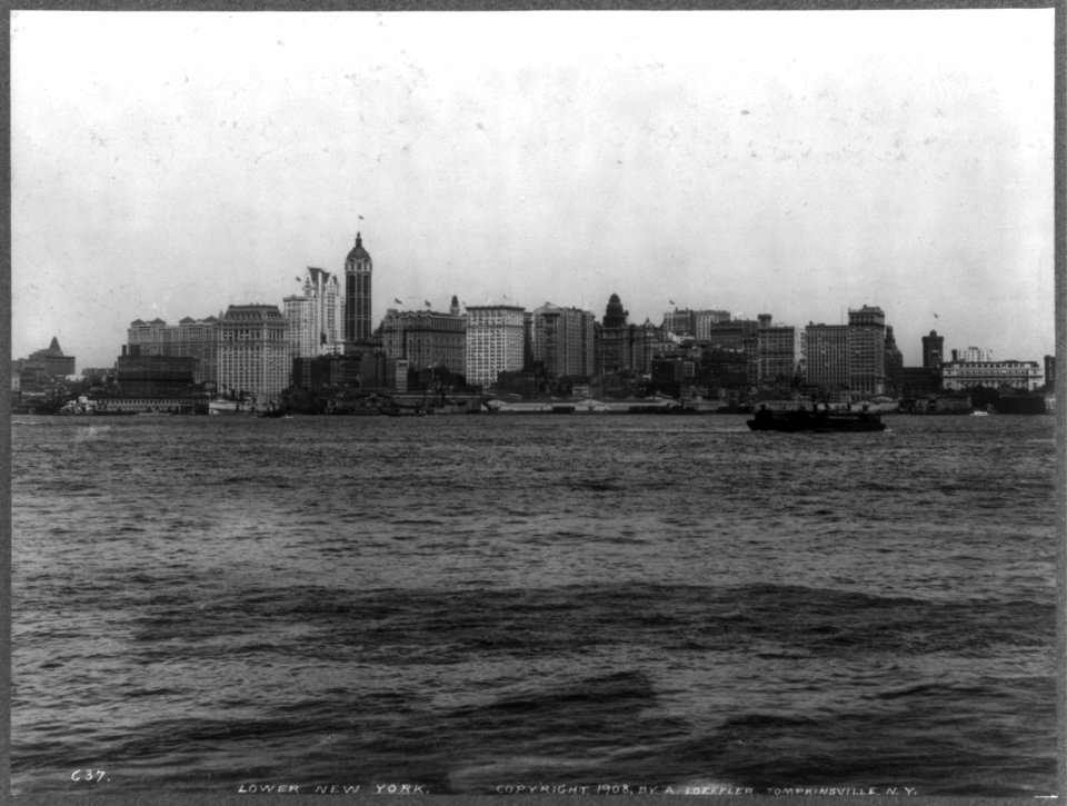 New York City from New York Bay- lower New York City LCCN2005696178