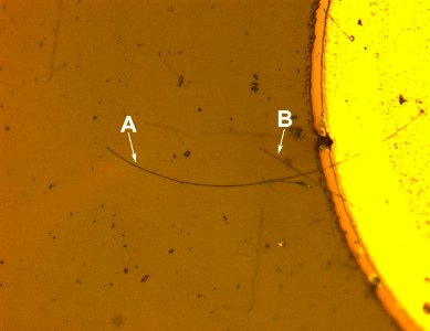 New Fabrication Technique Yields Nanoscale UV LEDs (5887267547)