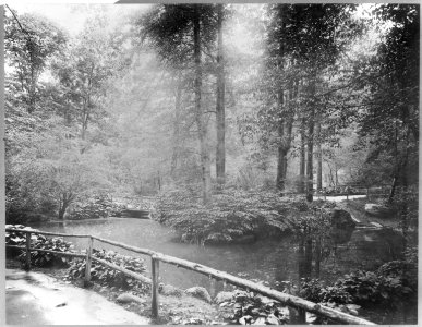 New York City - Central Park- The Ramble LCCN2003674960