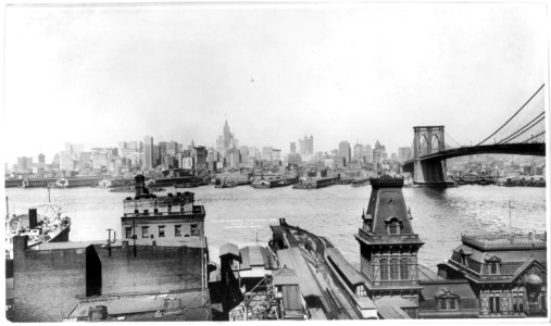 New York City- New York skyscrapers from Brooklyn LCCN2003677434