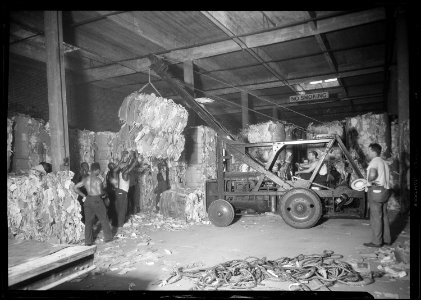 New York, New York - Longshoremen. (Group of men supporting two bales being lifted by tractor crane.) - NARA - 518787 photo