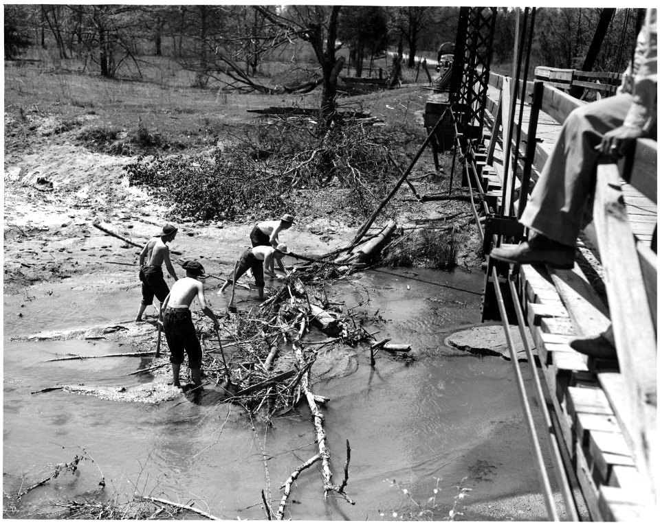 Newberry County, South Carolina. Typical stream clogging and silting causing further overflow of on . . . - NARA - 522783