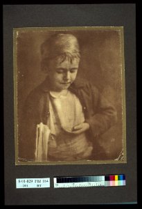 Newsboy looking at coins in his hand, half-length portrait LCCN2004676325
