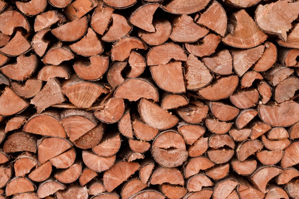 Dry wood forest brown