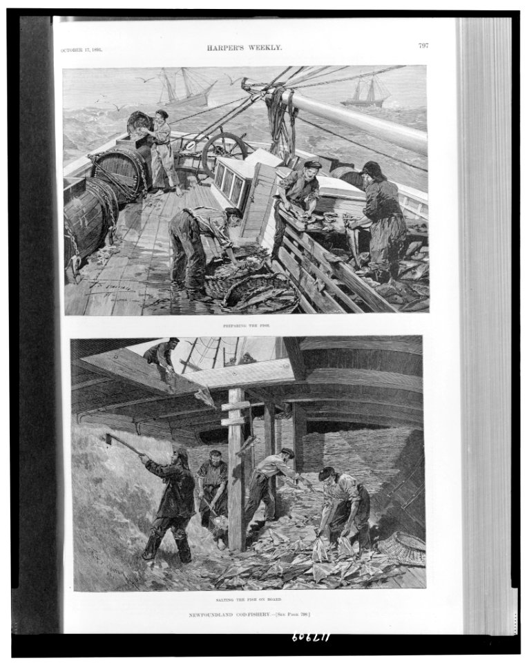Newfoundland cod-fishery LCCN97512342