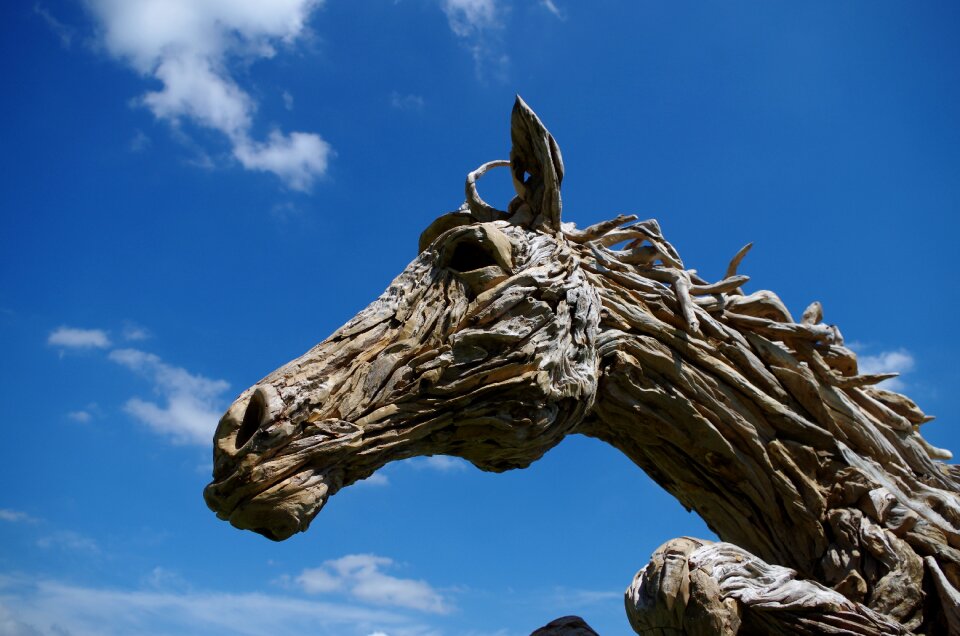 Driftwood animal stallion