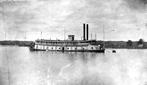 NH 102732 (27260297372)