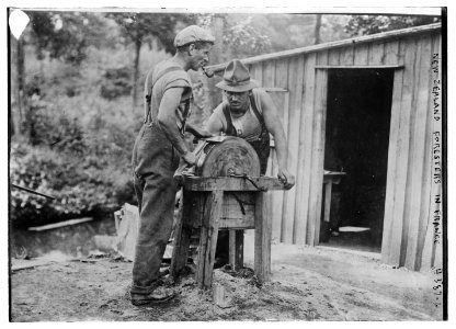 New Zealand foresters in France LCCN2014705791