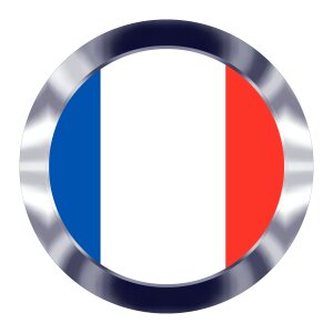 French flag symbol
