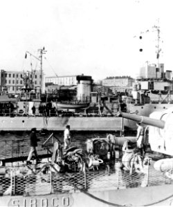NH 110744 (18895183439)