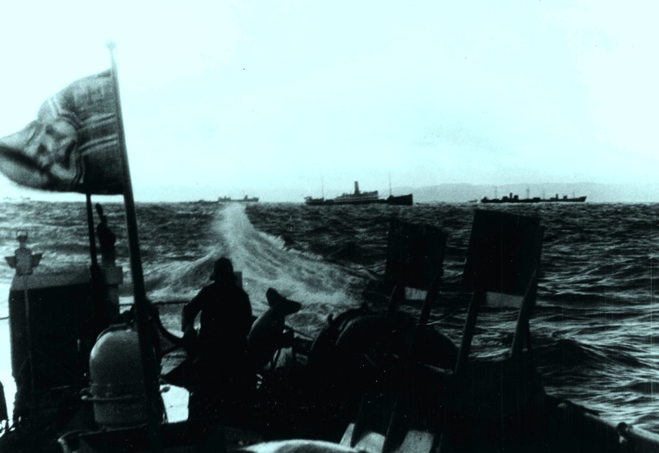 NH 71435 (22488786622)