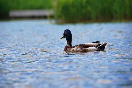 Water nature peace