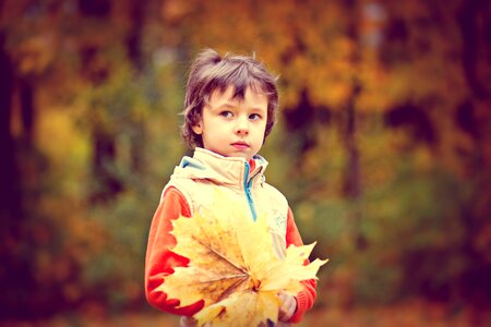 Boy baby autumn leaves photo