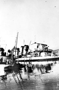 NH 88526 (18871848630)