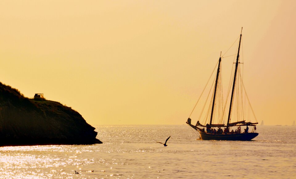 Seagull garda sails