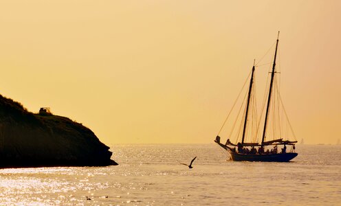 Seagull garda sails photo