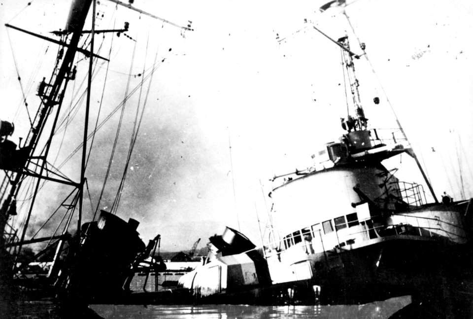 NH 88533 (18871862630)