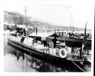 NH 88786 - Torpilleur No 20