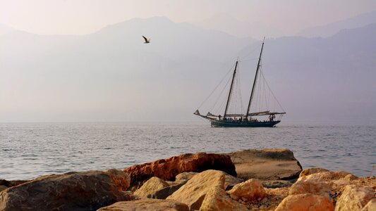 Seagull garda sails photo