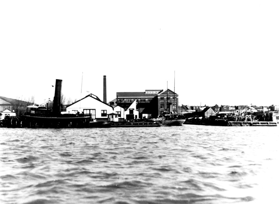 NH 93335 (24318400925)