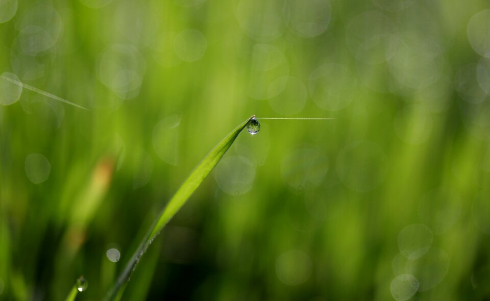 Drops bokeh water