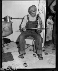 Nick Varanakis, miner, playing the Greek lire (sic) in his home. Independent Coal & Coke Company, Kenilworth Mine... - NARA - 540519