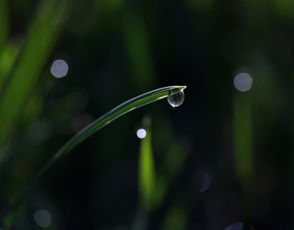 Drops bokeh water
