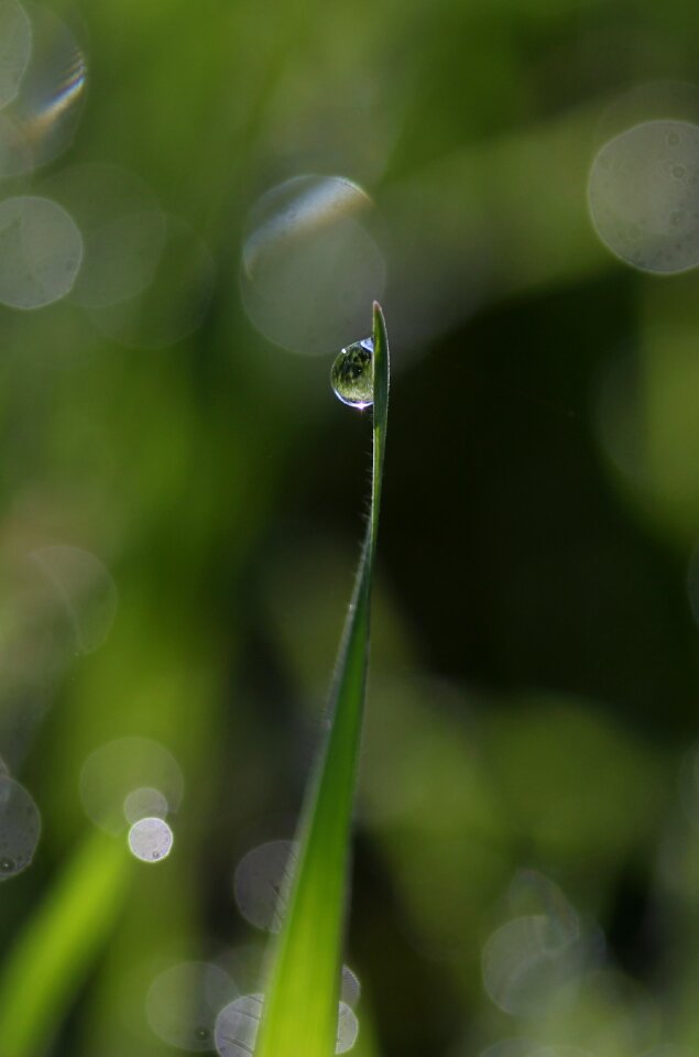 Drops bokeh water