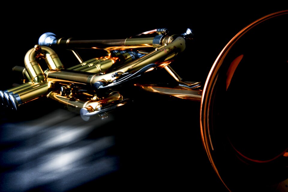 Wind instrument gold brass