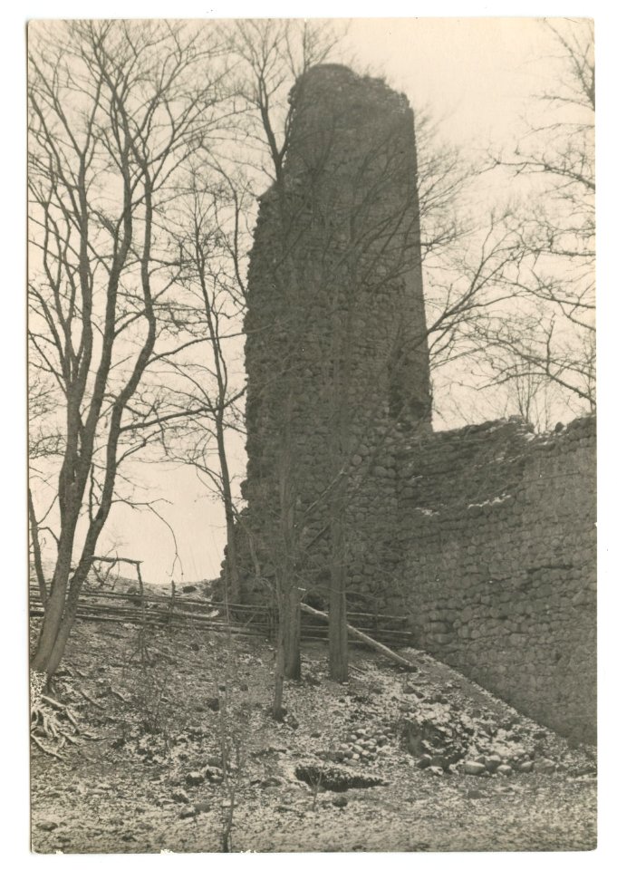 Miednicki zamak. Медніцкі замак (J. Bułhak, 1929) (2)