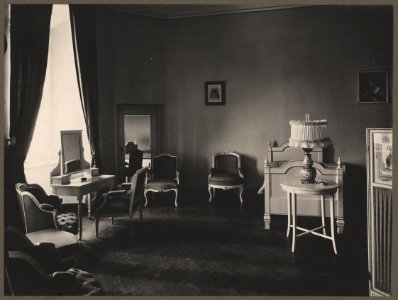 Niaśviž, Radzivił. Нясьвіж, Радзівіл (1901-39) (13)