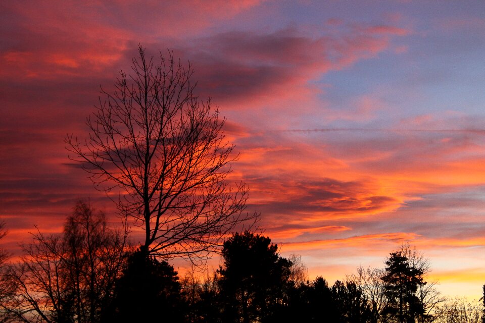 Abendstimmung clouds reddish photo