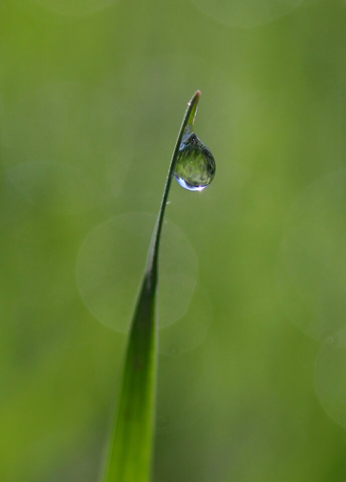 Drops bokeh water