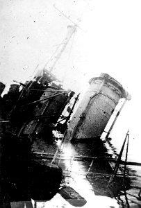 NH 88527 (19059569645)