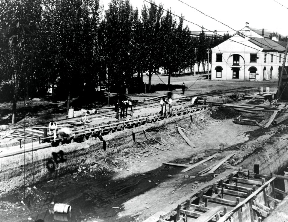 NH 89715 (24292629581)