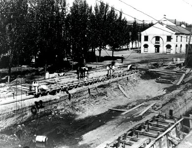 NH 89715 (24292629581)