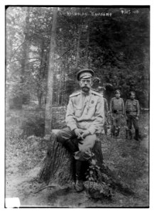 Nicholas Romanoff (Romanov) LCCN2014705373