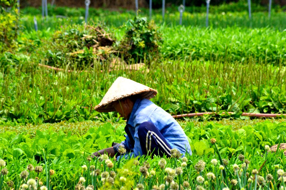 Hat vietnamese tourism
