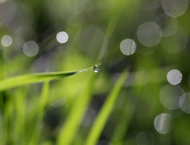 Drops bokeh water
